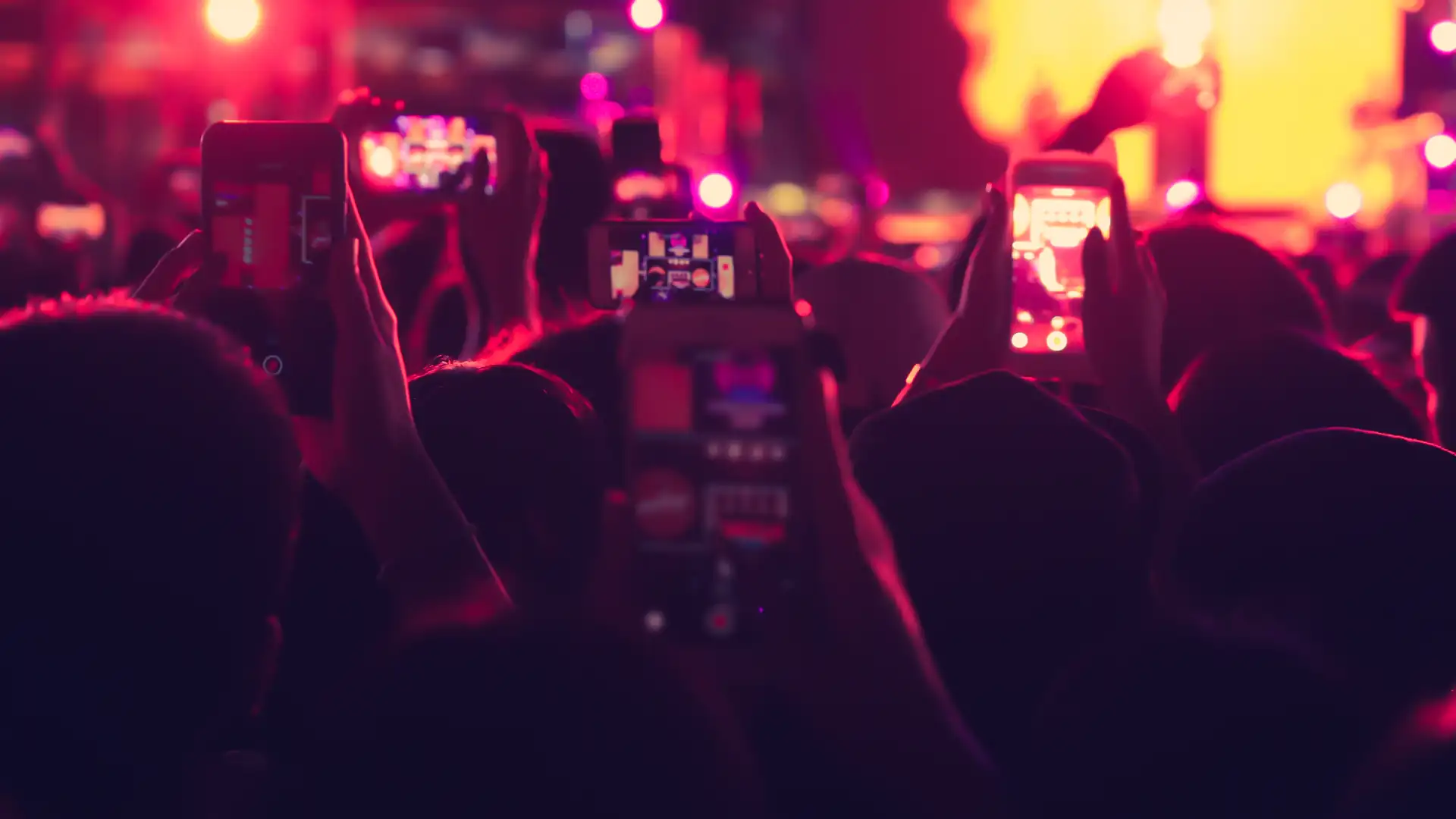 Kultura, rozrywka i gastronomia