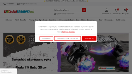 Internetowy sklep z zabawkami